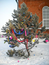 Рождественские елки в Боровецкой церкви. Увеличить изображение. Размер файла: 171,87 Kb [600X800]