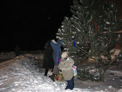 Рождественские елки в Боровецкой церкви. Увеличить изображение. Размер файла: 124,99 Kb [800X600]