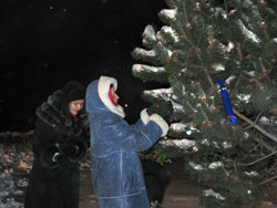 Рождественские елки в Боровецкой церкви. Увеличить изображение. Размер файла: 137,45 Kb [800X600]