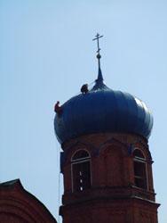 Реставрационные работы куполов Боровецкой церкви. Увеличить изображение. Размер файла: 63,95 Kb [600X800]