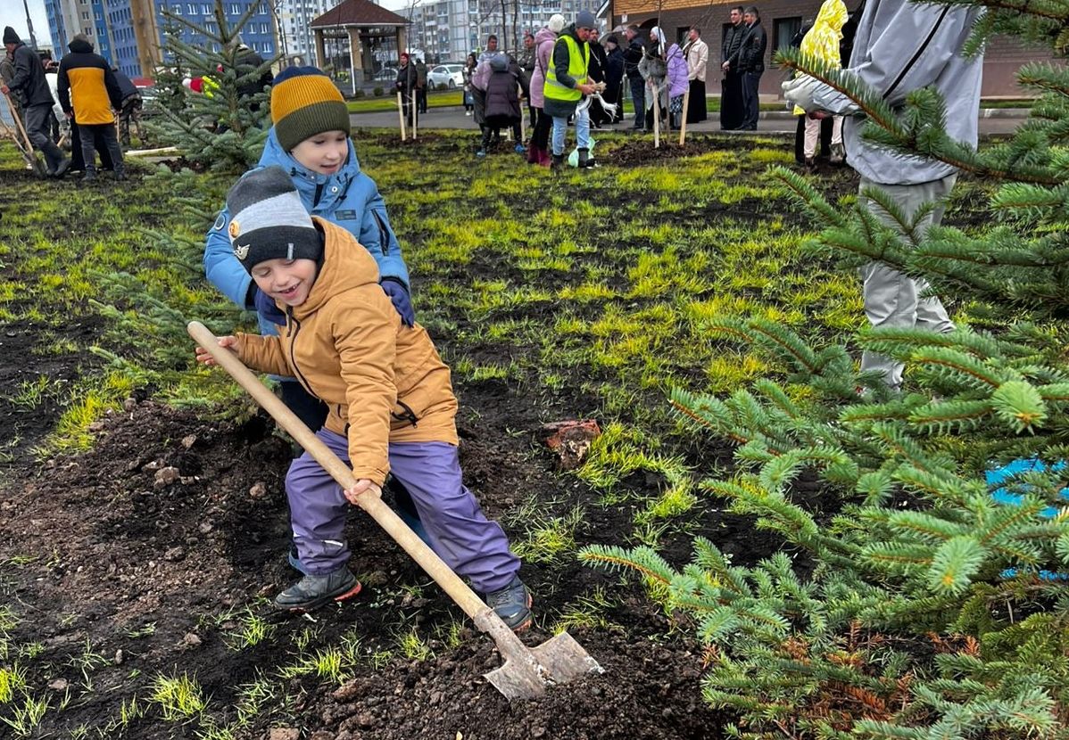 Вокруг православной гимназии высадили ели и декоративные яблони [+Видео]