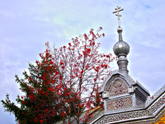 Весна в Боровецком. Увеличить изображение. Размер файла: 599,92 Kb [800X599]