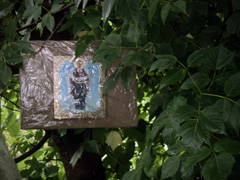 "Наша смена" при Боровецком храме. Увеличить изображение. Размер файла: 186,4 Kb [800X600]