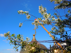 Работы по реконструкции куполов Боровецкой церкви. Увеличить изображение. Размер файла: 295,96 Kb [800X600]